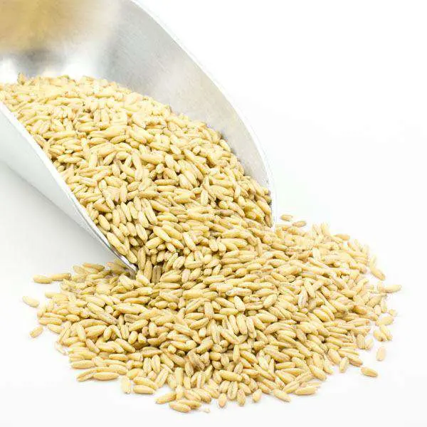 Organic Whole Oat Groats – Minimally Processed & Nutrient-Rich 2