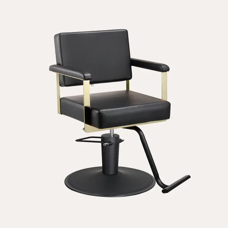Paris Ii Designer Salon Chair With Modern Frame 2