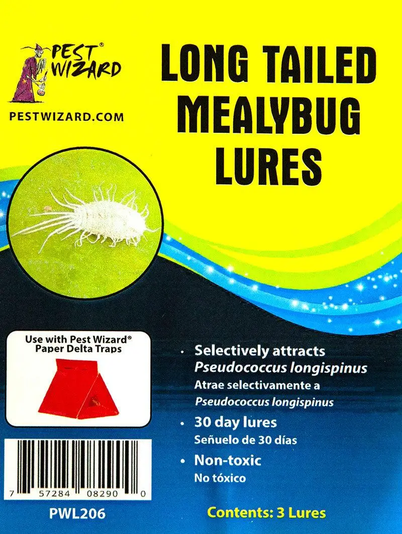 Pest Wizard Mealybug Lure – Long-Tailed Species Trap (3-Pack) 1