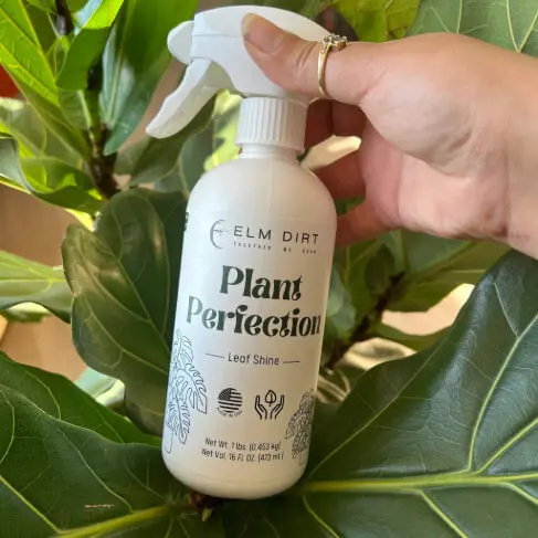 Plant Perfection Growth Optimizer – Premium Plant Health & Vitality Formula 1