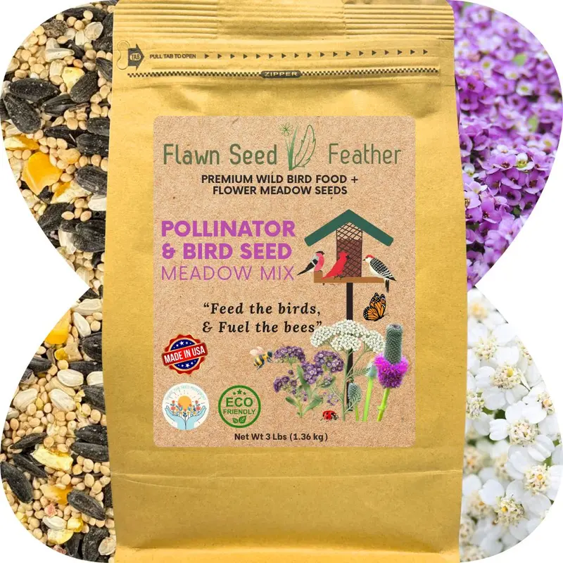 Pollinator & Bird Meadow Seed Mix – Native Wildflower Blend 1