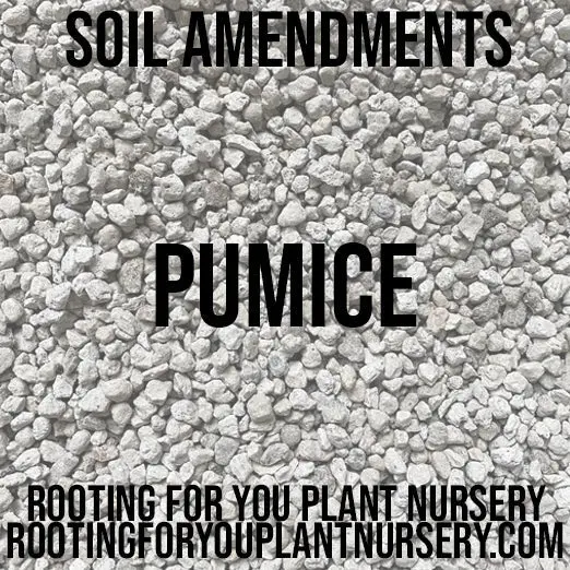 Pumice Granules – Lightweight Volcanic Soil Amendment For Drainage & Aeration 1