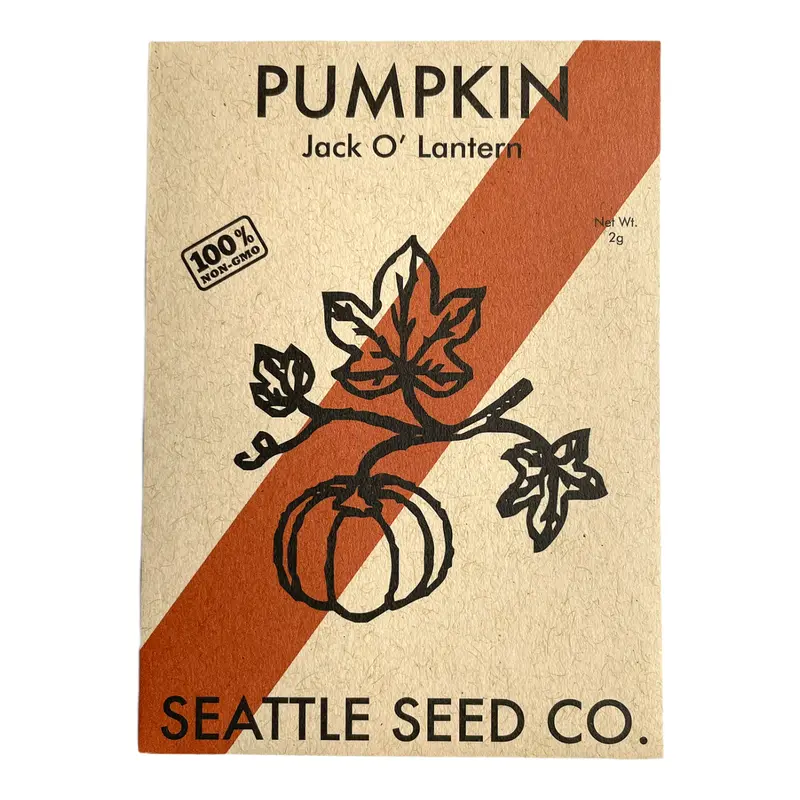 Pumpkin Seed Variety: Jack 'O Lantern Heirloom 1