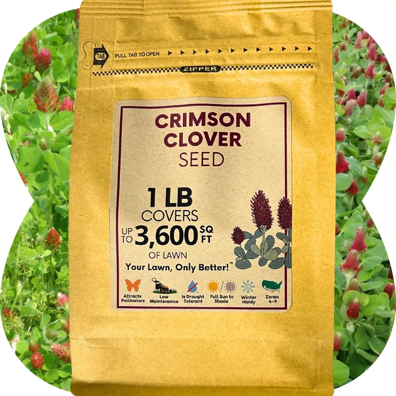 Pure Crimson Clover Seed 5