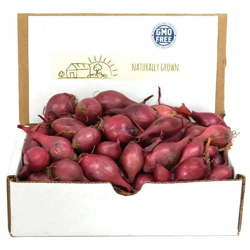 Red Baron Onion Sets – 1 Lb Non-Gmo (100+ Bulbs) 1