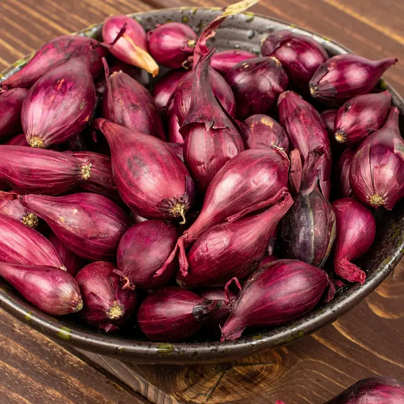 Red Baron Onion Sets – 50–60 Non-Gmo Red Bulbs 1
