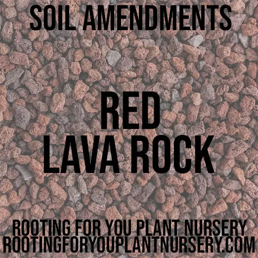 Red Lava Rock – Mineral-Rich Soil Aerator & Drainage Aid 1