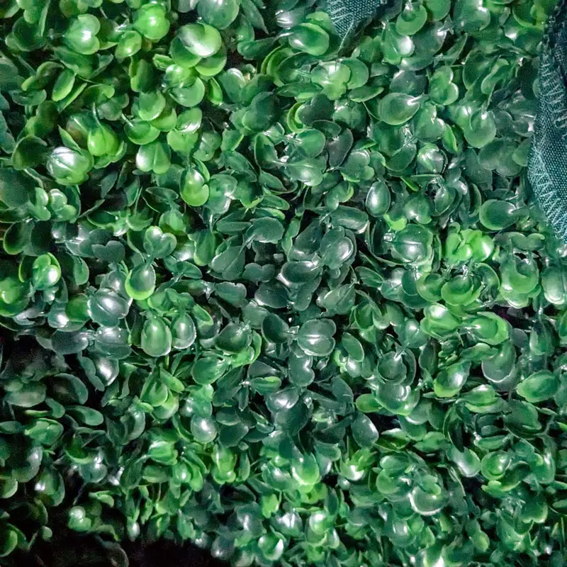 Rental: Artificial Boxwood Wall Backdrop With Stand – 8 Ft × 8 Ft (Metter, Ga) 1