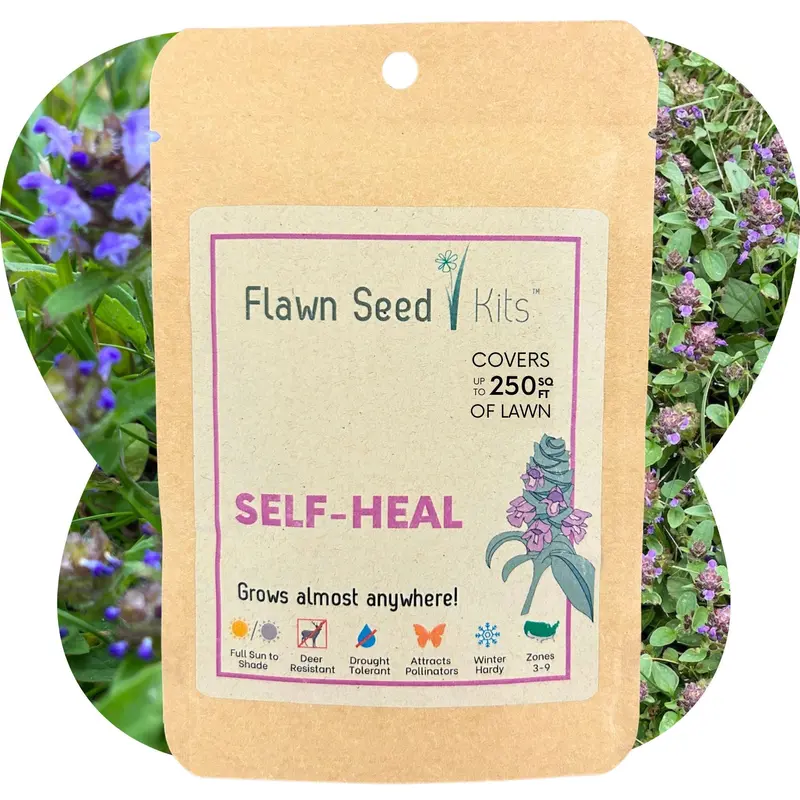 Self-Heal (Prunella Vulgaris) Wildflower Seeds 1