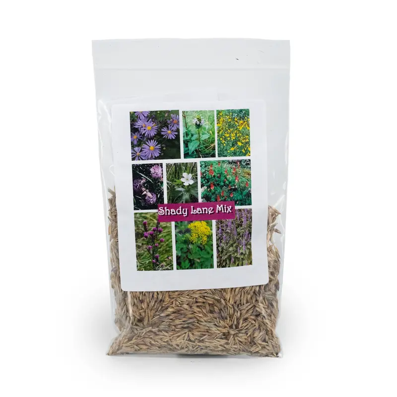 Shady Lane Native Wildflower Seed Mix (2.88 Oz) 1