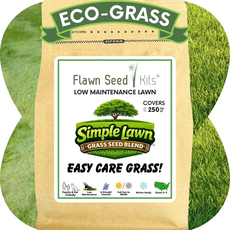 Simple Lawn Fine Fescue Grass Seed – Low-Maintenance Turf Mix 1