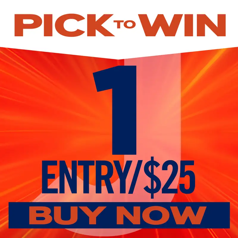 Single Entry Raffle Ticket – $25 1
