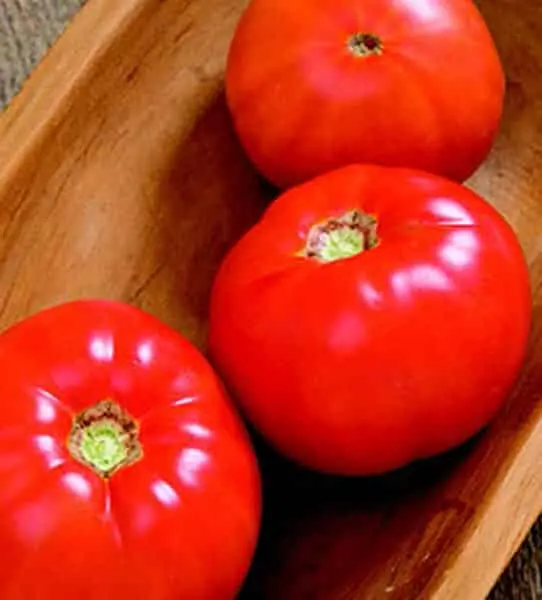 Skyway Tomato Seeds – Disease-Resistant, High-Yield Indeterminate Hybrid 1