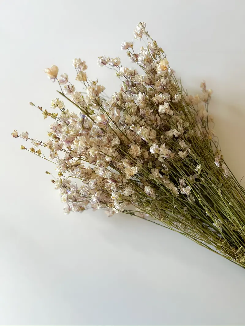 Smokey Eyes Dried Larkspur – Soft Purple Preserved Flowers 1