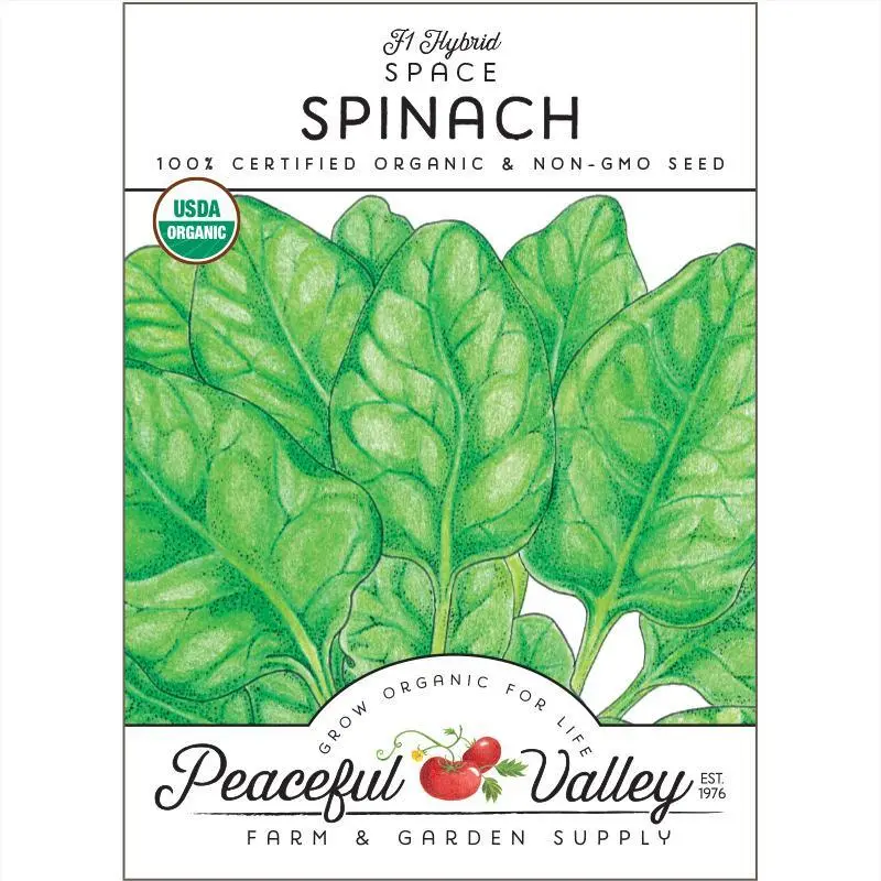 Space Spinach Seeds – Certified Organic, Fast-Growing 1