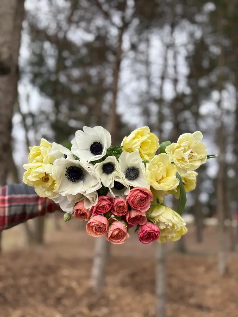 Spring At Your Door – Seasonal Floral Gift Collection 1