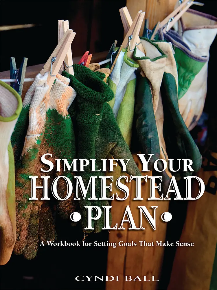 Streamlined Homesteading: A Simplified Roadmap To Self-Reliance 1