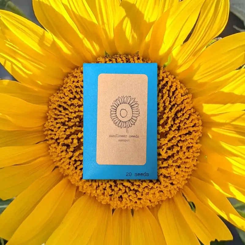 Sunspot Dwarf Sunflower Seeds 1