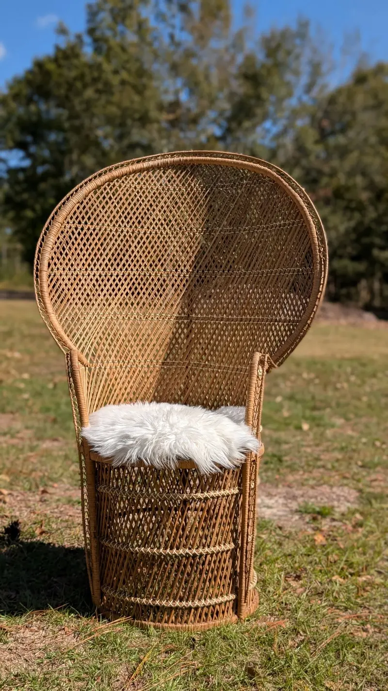 Vintage Boho Peacock Chair Rental – Pair For Photo Ops Or Events (Metter, Ga Pickup) 1