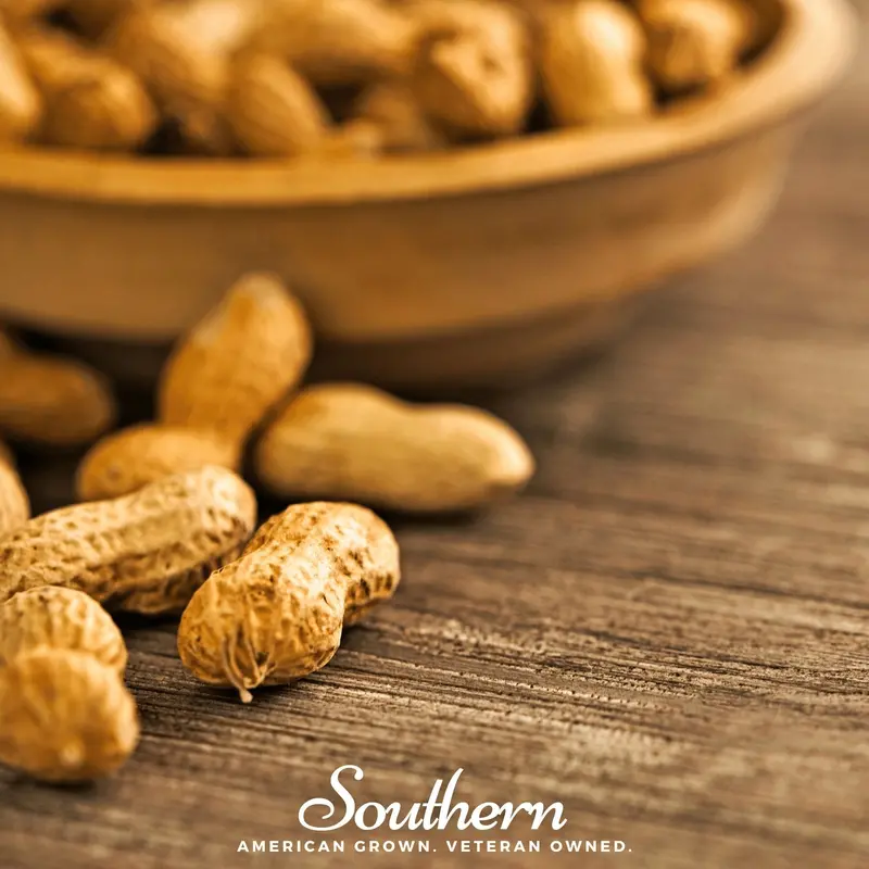 Virginia Jumbo Peanut Seeds – Heirloom Variety, 10-Pack 1