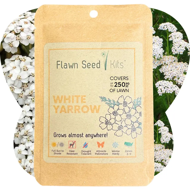 White Yarrow Seeds – Drought-Tolerant Native Wildflower Pouch 1