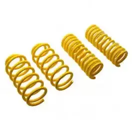 Mustangs550 Coil Springs – Designed For 2015+ Mustangs Equipped With Electronic Level Control (Elc) Suspension 1